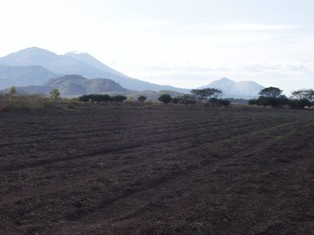 Project Photo 2